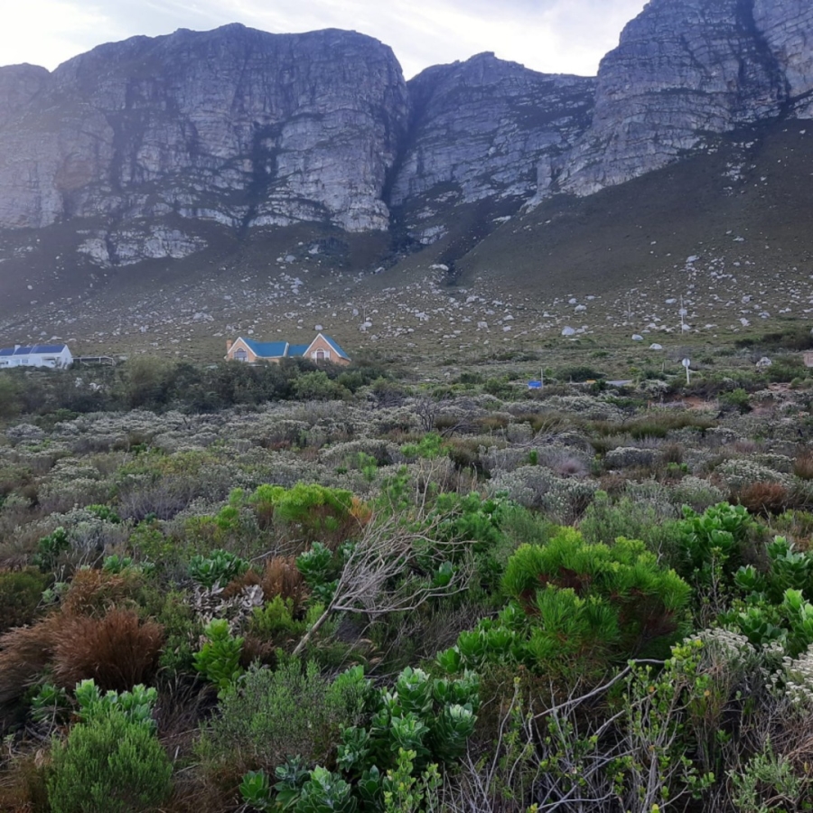 Commercial Property for Sale in Bettys Bay Western Cape